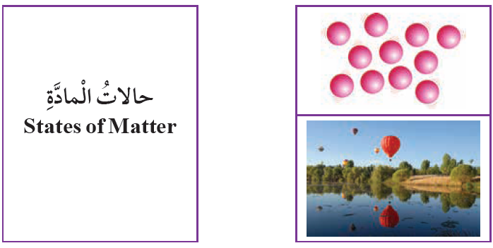 أصل بخط بين المفهوم والصورة التي تدل عليه السؤال الثاني